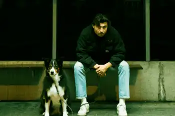 Brennpunkt mit Tiefgang: Stray Dog bellt zurück