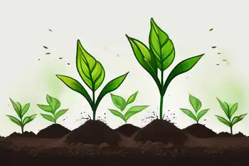 Grünes Crowdfunding: Nachhaltige Projekte finanzieren