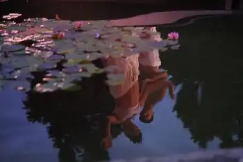 Ein Herzschlag für Berns Tanzszene – und du kannst mitmachen