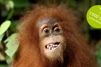 ABS Extra-Boost vom 26.10