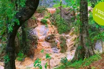 ABS Extra-Boost vom 15.11