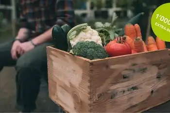 ABS Extra-Boost vom 21.08