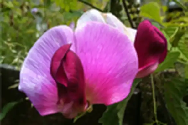 die ersten 30 tage sind erreicht!