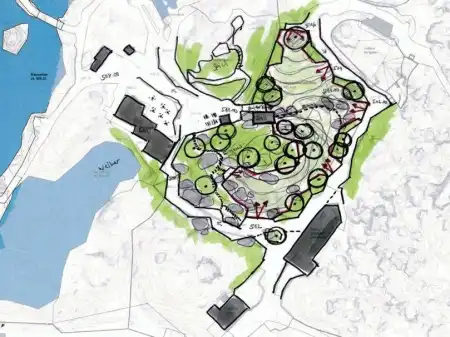 Wildschwein-Waldwunder