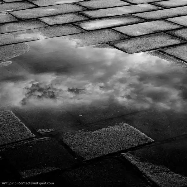 Opération "Dis-le!"