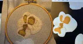 Zwei Drittel geschafft