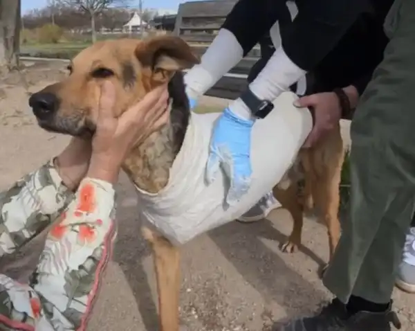 Phase 1 - La rencontre et début du projet