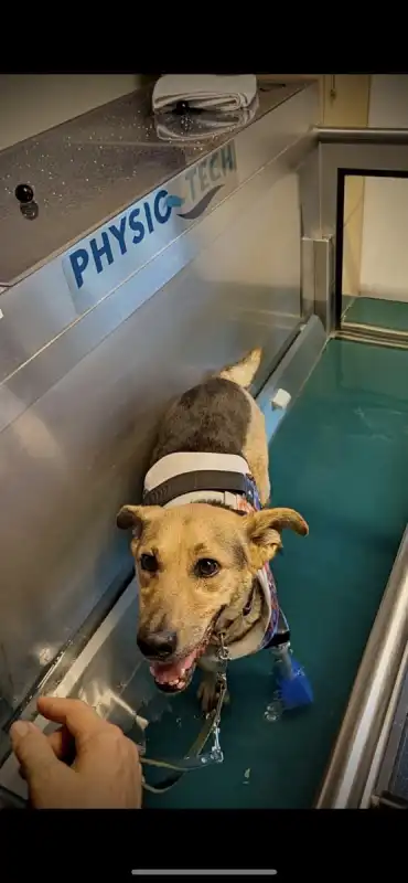 Séances d’hydrothérapie 💖