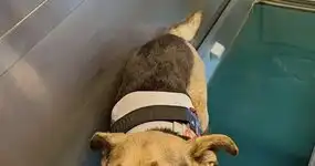 Séances d’hydrothérapie 💖