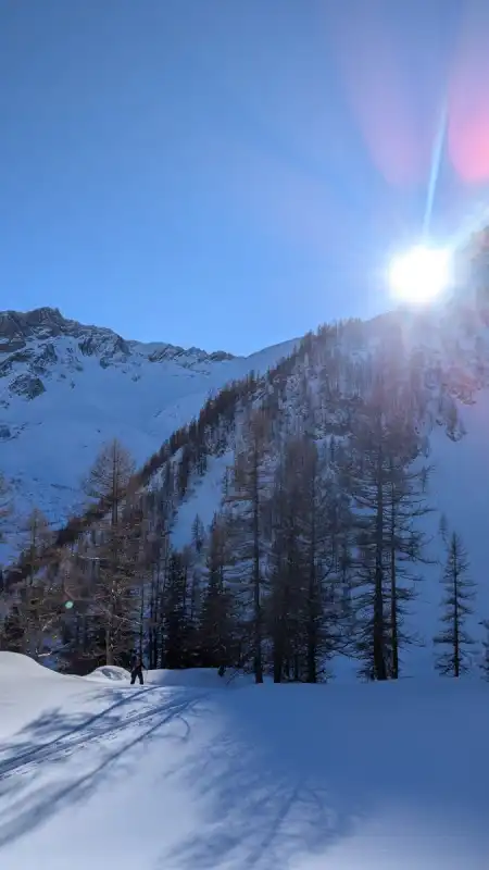 In jedem Anfang wohnt ein Zauber inne...