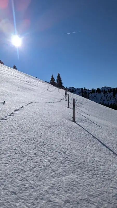 Halbzeit: Sonne und Powder