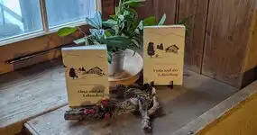 Von Erzählcafés, Weihnachtsmärkten und Lesungen