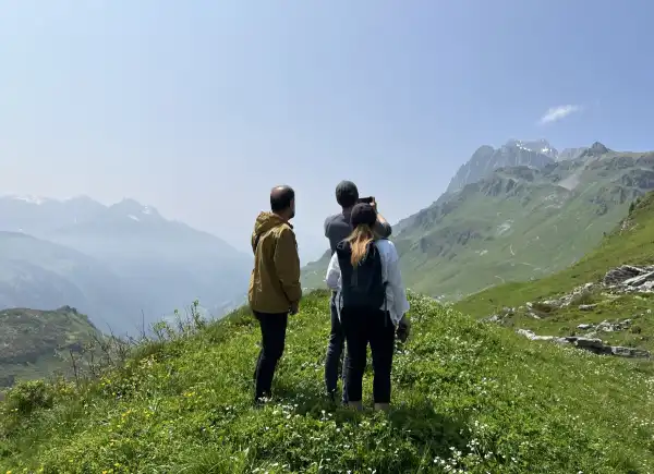 We are moving forward! 🎬