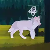 Freiheit für Wölfe