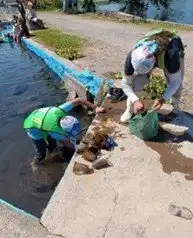 Drive Goodeids Forward