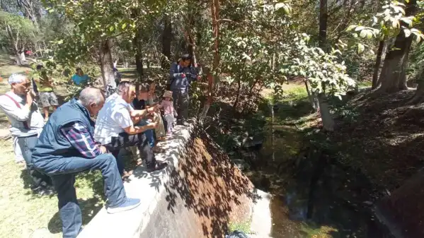 Drive Goodeids Forward