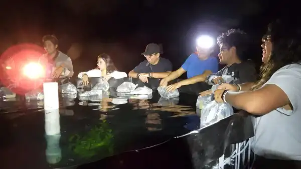 Drive Goodeids Forward