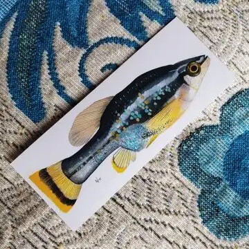 Drive Goodeids Forward