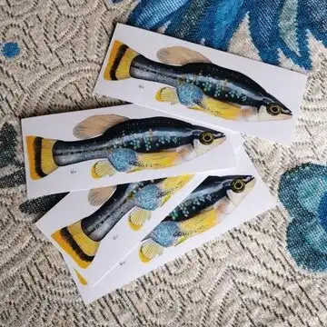 Drive Goodeids Forward