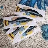 Drive Goodeids Forward