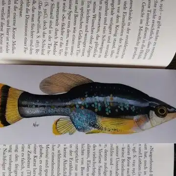 Drive Goodeids Forward