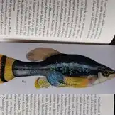 Drive Goodeids Forward