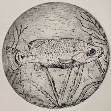 Drive Goodeids Forward