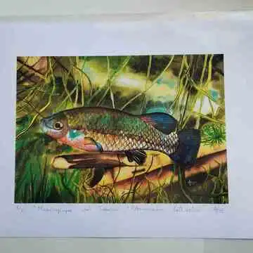 Drive Goodeids Forward