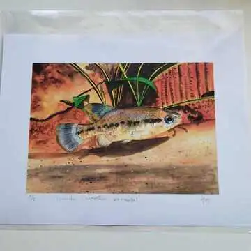 Drive Goodeids Forward