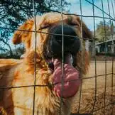 Das Wunderland zieht um