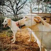 Das Wunderland zieht um