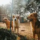 Das Wunderland zieht um