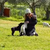 Das Wunderland zieht um