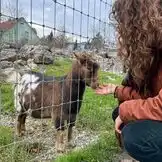 Bewegung als Berufung
