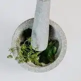 Bewegung als Berufung