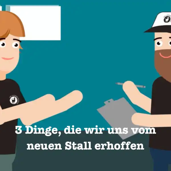 3 Dinge, die wir uns vom neuen Stall erhoffen