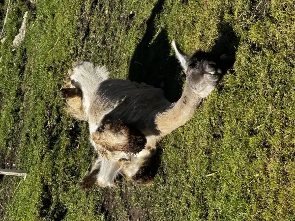 🧡 Fast 90 % – und es geht weiter!
