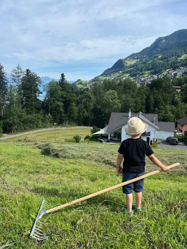 🌞 Heuwetter und Hofpower