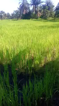 Support a Family's future