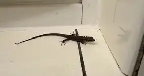 Ein neues Kapitel: Umzug geschafft, weitere Projekt-Umsetzung startet