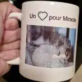 Pour les soins de Merla