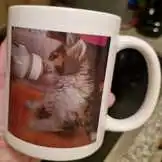 Pour les soins de Merla