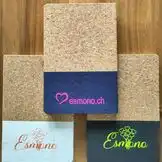 Open Doors of ESMONO