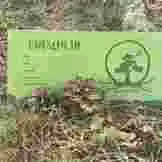 natürliche Kleidung