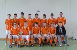 Unihockey-Kleinfeldbanden