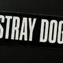 STRAY DOG