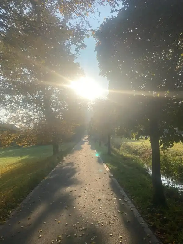 Geld ist eingetroffen!