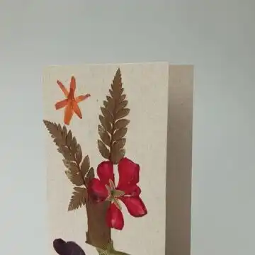 Hilfe für Strassenkinder