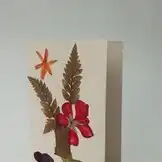 Hilfe für Strassenkinder