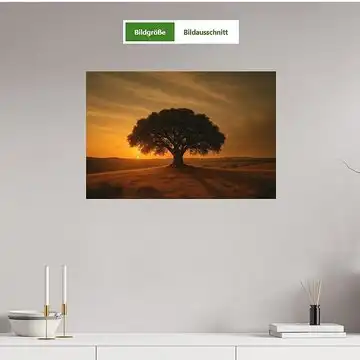 Im Schatten der Korkeiche